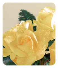 Bouquet Of Roses Yellow